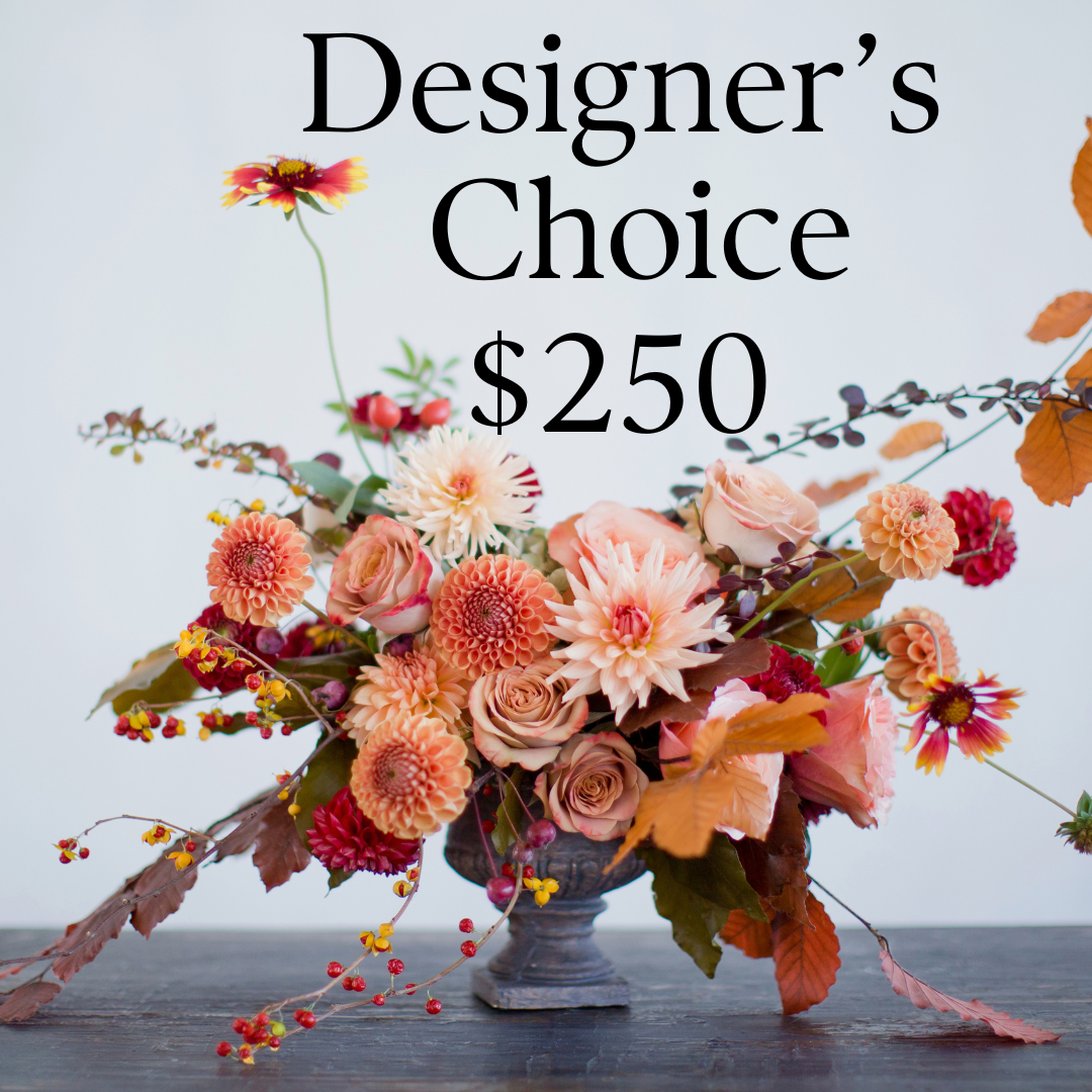 Premium Designer's Choice