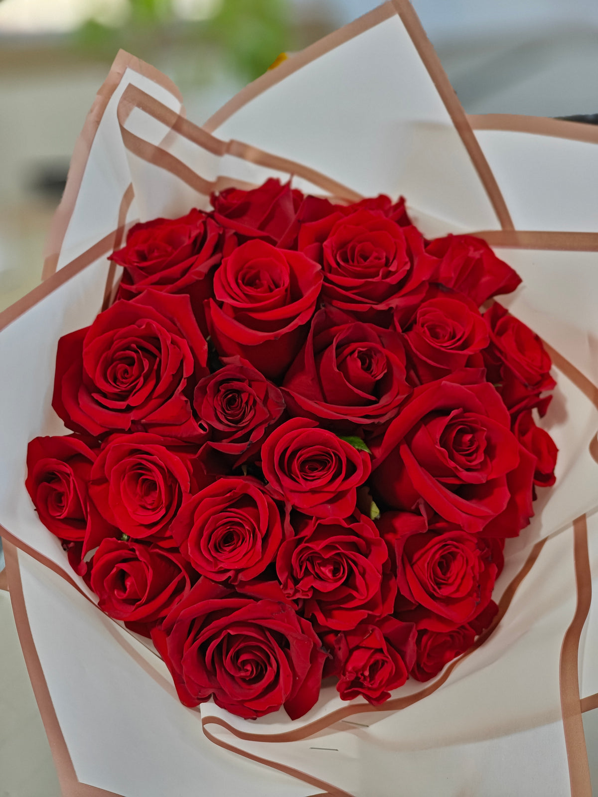Ramobuchon Roses Simple Ramo Buchon (two dozen roses wrapped) – Gardena Florist