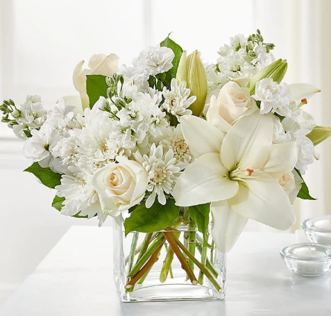 Luxe Ivory